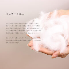 ふかふか！やみつきになる座り心地のフェザーをご紹介します！