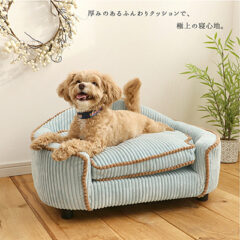 大切な相棒にも特別なくつろぎ空間を。ペットソファをご紹介します！