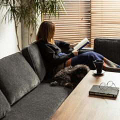 限られたスペースでも生活を豊かにするダイニングソファの魅力