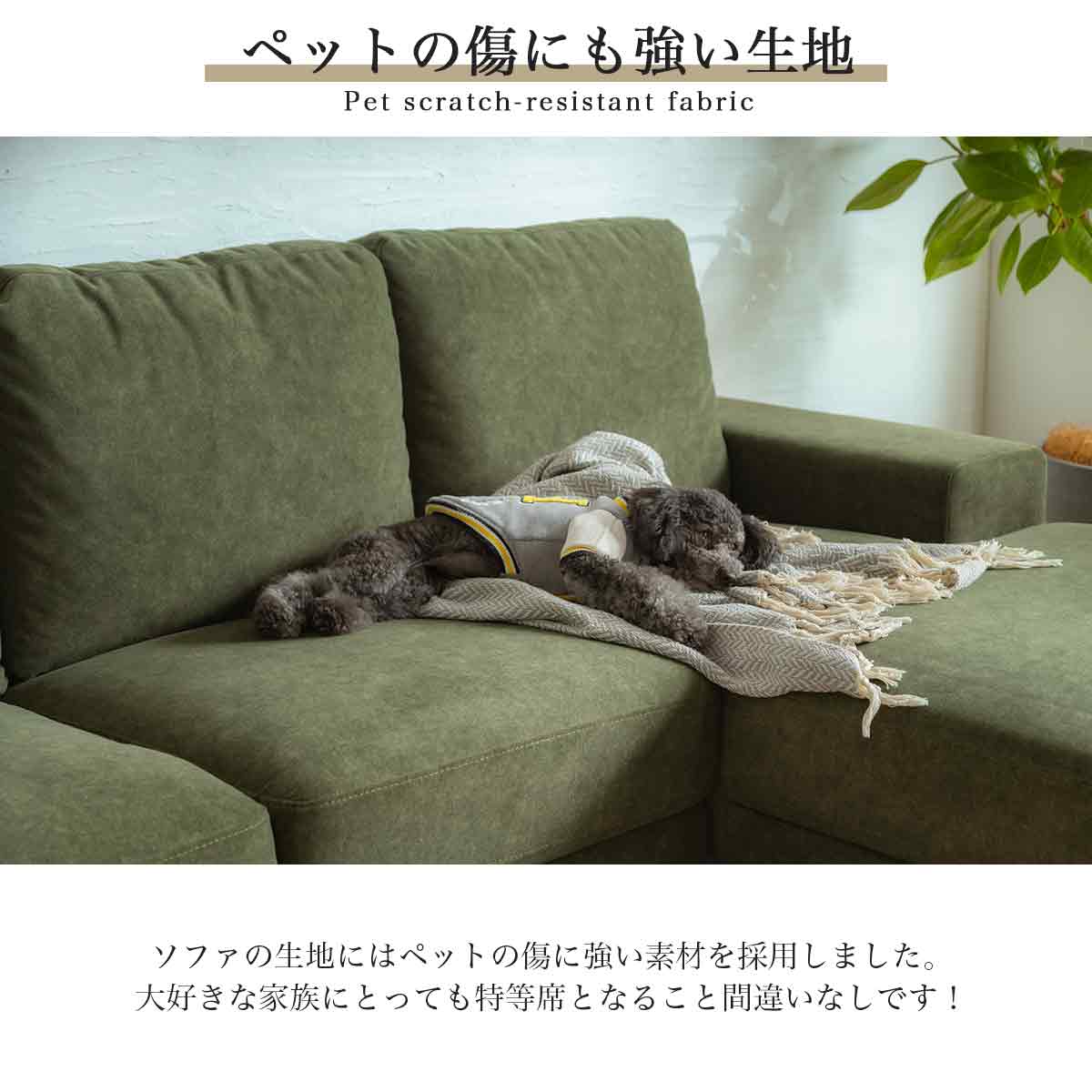 F01129_カウチソファ カウチ 猫の 爪 に強い 犬 ペット ソファー 幅230 カウチ 組み合わせソファ 組合せ 北欧 韓国風 家族 リビング  韓国インテリア グリーン ナチュラル