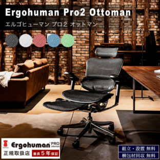 F00228_関家具 エルゴ 新型 エルゴヒューマン プロ2 Ergohuman Pro2 ottoman オットマン付き 正規品 高機能 在宅ワーク メッシュ 人気 デスク用チェア ヘッドレスト付き 5年保証付き EHP2-LPL-DR