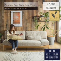 お部屋が広々！おすすめロータイプソファ