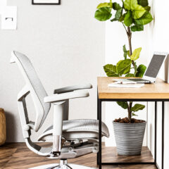 エルゴヒューマンチェアの人気の秘密：快適さとカスタマイズ性が魅力のワケ