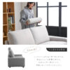 F01771_ 関家具 アビー ペットソファ ソファ 3P 3人掛け ペットフレンドリー ファブリック ロータイプ ヘッドレスト カバーリング 洗濯 清潔 幅186cm 186cm ペットのキズに強い 摩擦に強い 犬 猫 子供 家族 (開梱設置付)