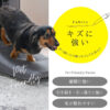 F01772_ 関家具 コージー ペット242cm ソファ ソファ ソファー ペットフレンドリー ファブリック 組み替え ペットのキズに強い 摩擦に強い 毛が取れやすい 犬 猫 子供 家族 子育て おすすめ リビング グレー ベ ージュ (開梱設置付)
