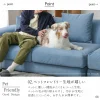 F01774_関家具 トビー ペット 247cm ソファ ソファ ソファー ペットフレンドリー ファブリック 組み替え ペットのキズに強い 摩擦に強い 毛が取れやすい 犬 猫 子供 家族 子育て おすすめ リビング ストームブルー モスグリーン 開梱設置付き