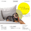 F01776_ 関家具 カーラ ペットソファー ソファ ソファー ローソファー ペットフレンドリー ファブリック カバーリング 組み替え 組み合わせ 幅90cm 90cm ペットのキズに強い 摩擦に強い 毛が取れやすい 犬 猫 子供 家族 子育て おすすめ リビング (開梱設置付)