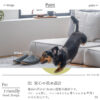 F01776_ 関家具 カーラ ペットソファー ソファ ソファー ローソファー ペットフレンドリー ファブリック カバーリング 組み替え 組み合わせ 幅90cm 90cm ペットのキズに強い 摩擦に強い 毛が取れやすい 犬 猫 子供 家族 子育て おすすめ リビング (開梱設置付)
