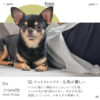 F01776_ 関家具 カーラ ペットソファー ソファ ソファー ローソファー ペットフレンドリー ファブリック カバーリング 組み替え 組み合わせ 幅90cm 90cm ペットのキズに強い 摩擦に強い 毛が取れやすい 犬 猫 子供 家族 子育て おすすめ リビング (開梱設置付)